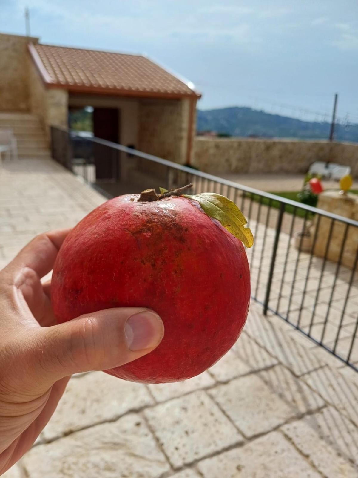 Masseria Torre Saracena Αγκριτζέντο Εξωτερικό φωτογραφία